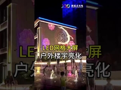 Display de pantalla de malla LED flexible para interiores con luz de punto LED transparente