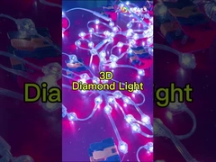 Control de DMX Luces de cuerda LED DC12V IP67 con flujo luminoso de lámpara de 70lm